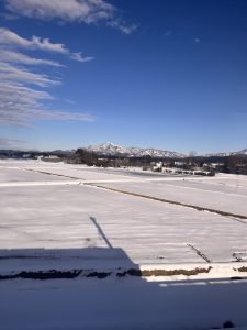 Schneebedeckte Reisfelder