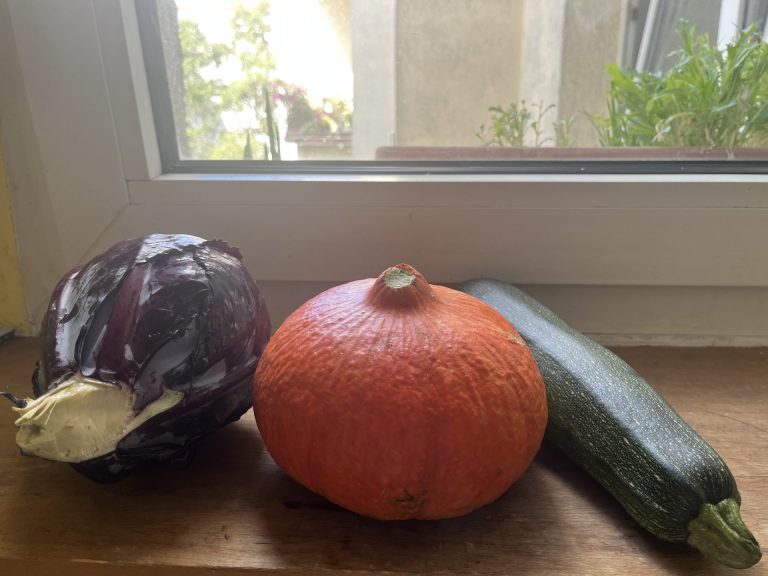 Kürbis, Zucchini, Rotekohl am Fenster